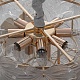 подвесная люстра citilux dryad cl305150