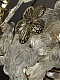 подвесная люстра newport 3660 3665+28/s м0068739