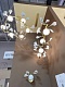 бра crystal lux colibri ap1 gold