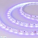 светодиодная лента arlight rt-a60-8mm 2835 012813(2)