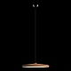 подвесной светильник loft it plato 10119 orange