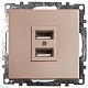 розетка 2хusb stekker катрин шампань gls10-7115-02 39602