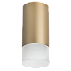 накладной светильник lightstar rullo r44031 (214440+202431)