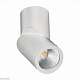 светодиодный спот st luce st650.542.10