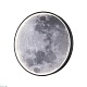 настенно-потолочный светодиодный светильник escada planet 10226/sg led moon