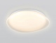 светодиодный светильник ambrella light orbital dance fz1610
