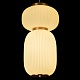 подвесной светильник loft it duff 10422/b