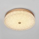 потолочный светильник led4u l1116-400 gd