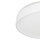потолочный светильник citilux boss cl751450g