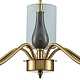 люстра на штанге lumion anri 6590/5
