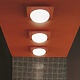 настенный/потолочный светильник gio 40 p-pl wenge leucos
