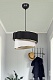 подвесной светильник toplight bertina tl1622h-01bw