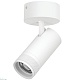 накладной светильник 20-55g с адаптером lightstar canno pro c4306so