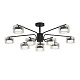 люстра на штанге lumion comfi natalina 8349/10c