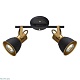 спот arte lamp jovi a1677pl-2go
