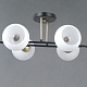 потолочная люстра illumico il0798-6csq-25 bk ab trento