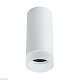 потолочный светильник arte lamp ogma a5556pl-1wh