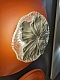 настенный светильник odeon light fiore 6614/8wl