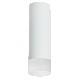 накладной светильник lightstar rullo r48631 (214486+202431)