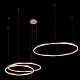 подвесной светодиодный светильник loft it ring 10017/3l