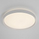 потолочный светильник citilux boss cl751450g