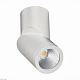 светодиодный спот st luce st650.532.10