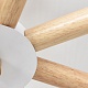 потолочная люстра imperium loft flan 101588-26