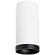 накладной светильник lightstar rullo r64863487 (216486+203487)