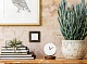 диммер legrand inspiria 673790