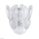 настенный светильник arte lamp kapri a4078ap-2cc