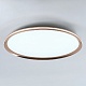 потолочный светильник led4u l3020-600 gd