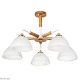 люстра на штанге arte lamp matthew a5032pl-5br