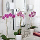 бра hinkley shelly hk-shelly1-bath