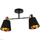 спот illumico il6116-2cou-79 bk gd