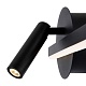 настенный светильник freya mystery fr6063wl-l12b