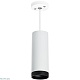 подвесной светильник lightstar rullo rp4863437 (214486+590056+203437)