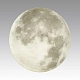 настенно-потолочный светильник sonex pale moon 3084/dln
