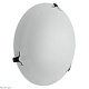 настенный светильник arte lamp plain a3720pl-3cc