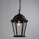уличный подвесной светильник arte lamp genova a1205so-1bn