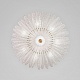 потолочная люстра eurosvet flowers 101015/10 латунь smart a072174