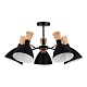 люстра на штанге evoluce vista sle1256-402-05