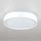 потолочный светильник citilux boss cl751250g
