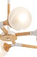 потолочный светильник freya amy fr5105cl-06w