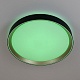 потолочный светильник citilux boss cl751351g