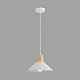 подвесной светильник lumion suspentioni eoliana 8352/1a