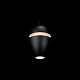 подвесной светильник loft it viterbo 10336 black
