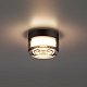 настенно-потолочный светильник odeon light hightech ronda 7157/6cl