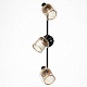 спот citilux смит cl530535