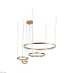 подвесной светодиодный светильник loft it ring 10017/4s