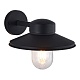уличный настенный светильник st luce basko sl9542.701.01